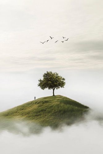 Eenzaamheid in de natuur
