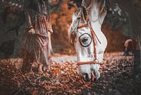 Spiritpaard in de herfst