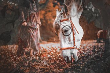 Spiritpaard in de herfst van Maneschijn FOTO