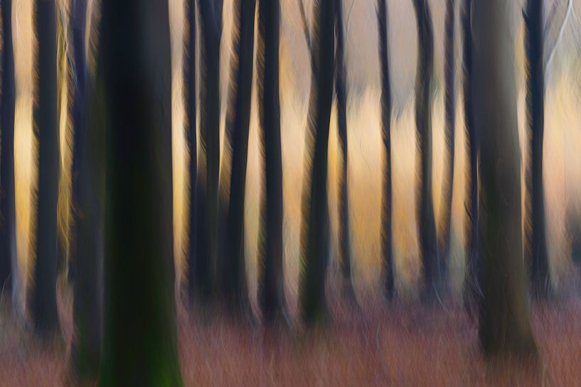 Perdu dans les bois par Esther Bakker-van Aalderen