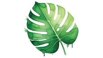 Tropical Serenity: Vibrant Watercolor Monstera Deliciosa Leaf
