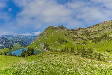 Seealpsee van Walter G. Allgöwer