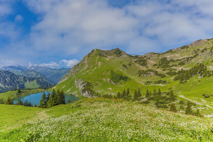 Seealpsee van Walter G. Allgöwer