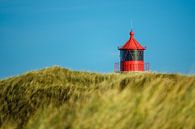 Leuchtturm in Norddorf auf der Insel Amrum von Rico Ködder Miniaturansicht