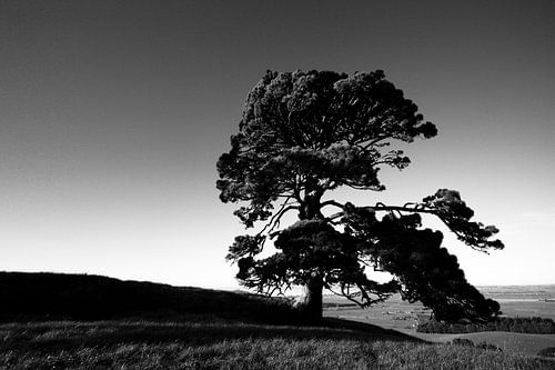 Papamoa Hills national park