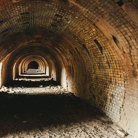 Alte verlassene Ziegelwerke in der Nähe von Fortmond von Henk Hulshof