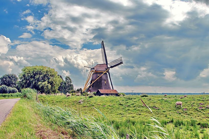 Polder mill Delphine 1874 by Eduard Lamping