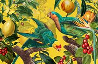Yellow Tropics van Marja van den Hurk thumbnail