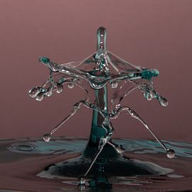 Splash! van Anne Ponsen