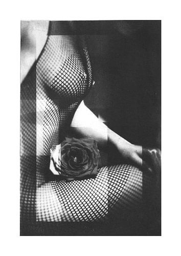 Sensuele Contrasten