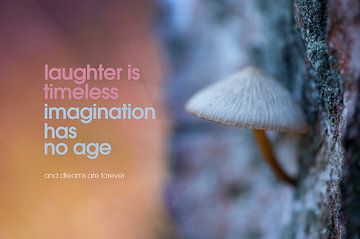 Quote: Laughter is timeless imagination has nog age... van Andrea Gulickx