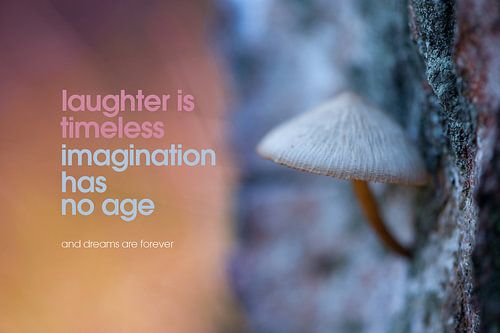 Quote: Laughter is timeless imagination has nog age...