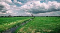 Windmühlen in Hoogmade Niederlande von Annemiek van Eeden Miniaturansicht