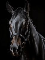 Black Horse