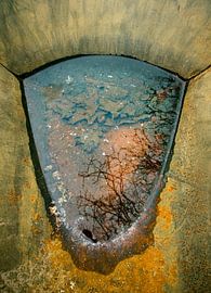 Roest von Gwen Mustamu