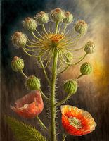 een reuze berenklauw met papaver
