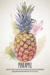 Fruities Pineapple