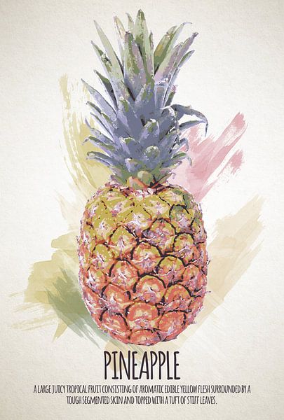 Fruities Ananas van Sharon Harthoorn