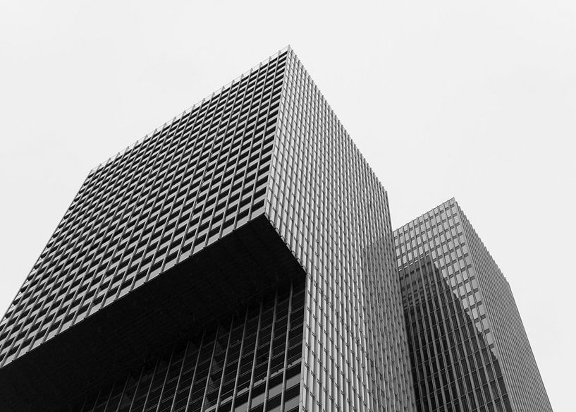 Der Rotterdamer von Muriël Mulder Fotografie