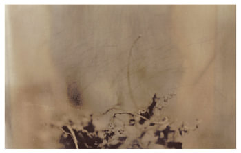 Agfa Brovira Satino _ 07