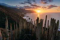 Playa de Benijo (Ténérife)
