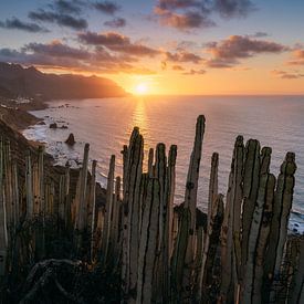 Playa de Benijo (Tenerife) by Niko Kersting