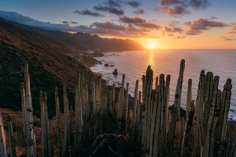 Playa de Benijo (Tenerife) van Niko Kersting