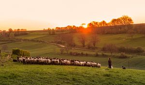 Zonsopkomst op de Eyserbosweg van John Kreukniet