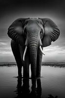 Ai fant