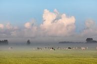 Paysage hollandais brumeux à IJlst avec des vaches qui paissent et un ciel nuageux typiquement holla par Wout Kok Aperçu
