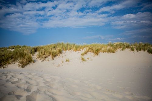 Summer feeling on the island of Terschelling