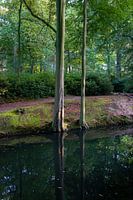 Middelheim, overgang van de zomer naar de herfst