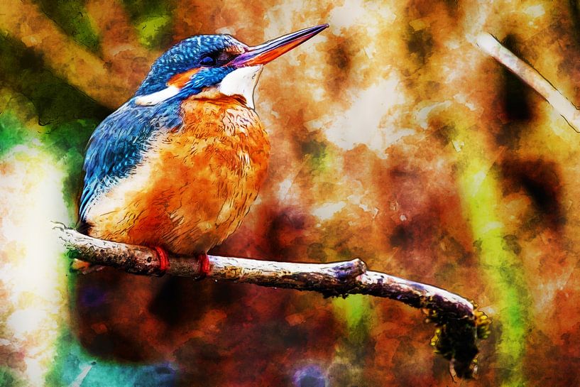 Kunstzinnige ijsvogel van Andreas Müller