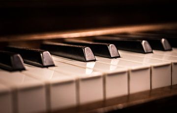 Piano Keys by Peter Heeling