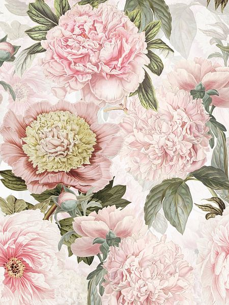 Pastel Vintage Pfingstrosen Muster von Floral Abstractions