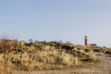 Schöne Aussicht auf Schiermonnikoog mit Leuchtturm von Lydia