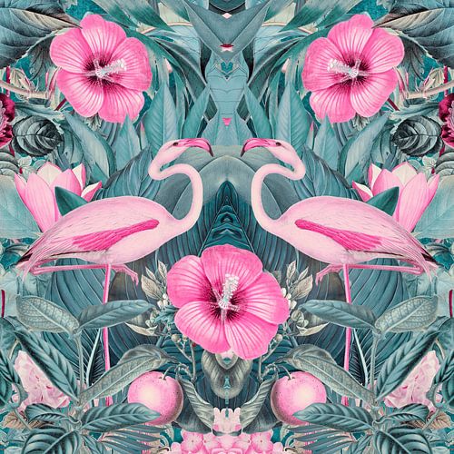 Flamingo Symmetrie