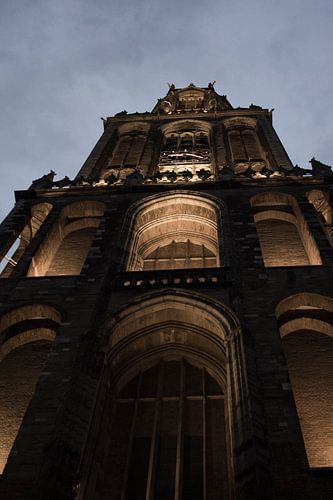 De Dom toren bij nacht