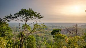 De jungle in Costa Rica met op de achtergrond de Stille oceaan. sur Remco Piet