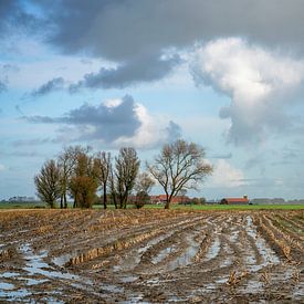 herfstbuien van Jan Bensliman