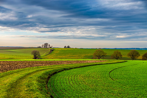 Groene golven