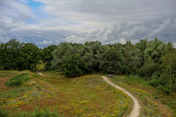 Le sentier à travers la forêt