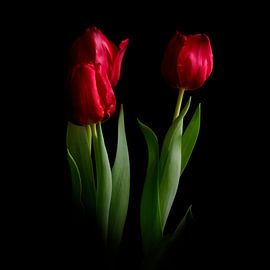 ein junges Paar zu dritt #010