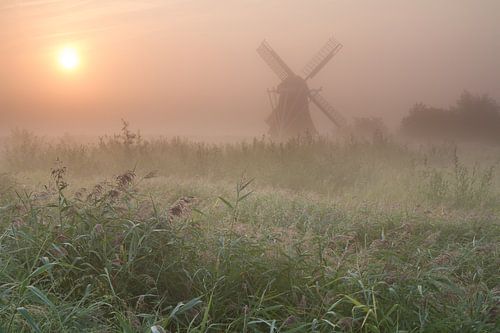 Nordmühle im Nebel