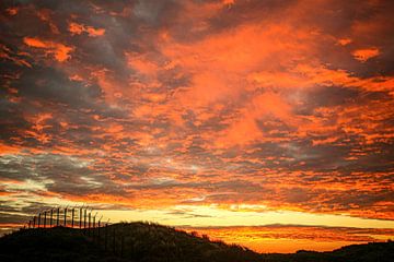 Zonsopgang boven AWD Zandvoort van Monique van Middelkoop