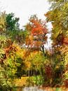 The Haunted Path by Dorothy Berry-Lound thumbnail