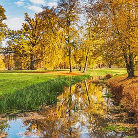 Herfst in het park van Gunter Kirsch