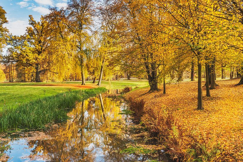 Herfst in het park van Gunter Kirsch
