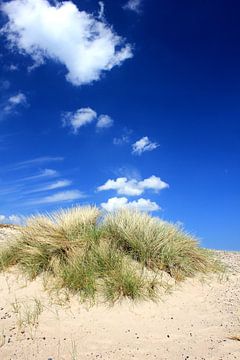 Baltic Sea Dune