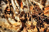 fiets van Dagmar Marina thumbnail